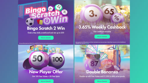 Bet365 Bingo Offers