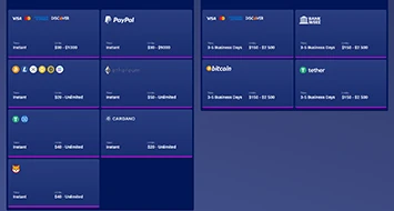 Voltage Bet Payments