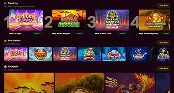 Grizzly's Quest Games