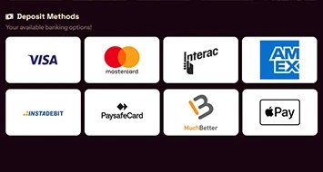 Grizzly's Quest Payment Methods